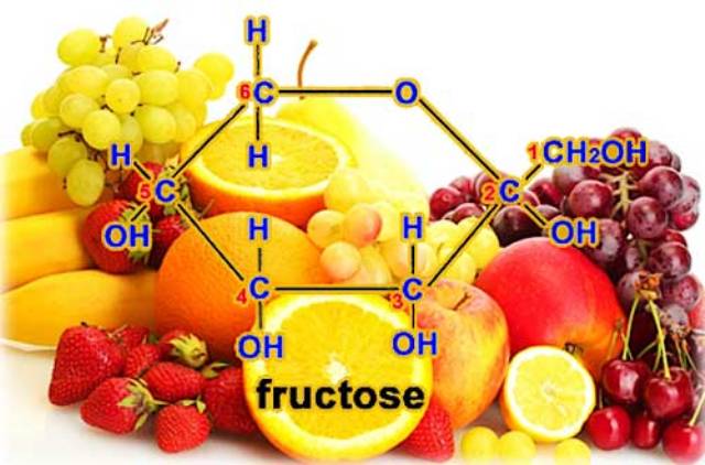 Fruktoza