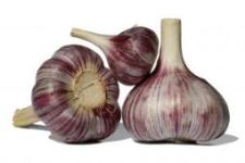 chesnok