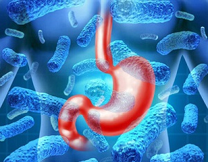 gut