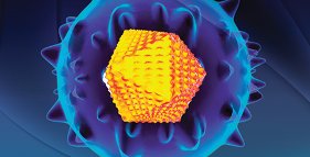 virus_C_2