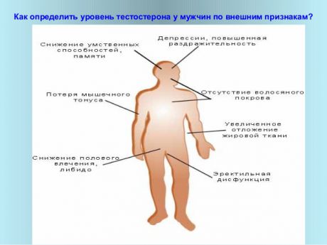 klimaks_men