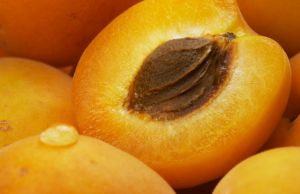 apricot
