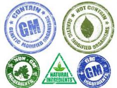 gmo