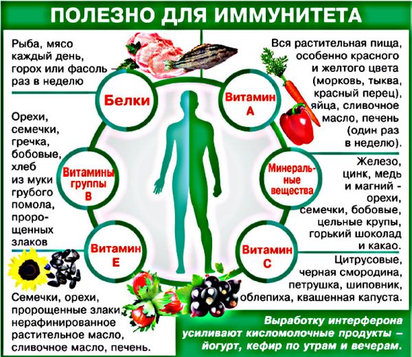 immunitet-chto-polezno