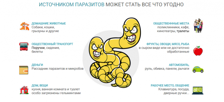 parazitoz_plakat_profilakt