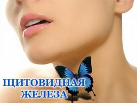 schitovidka